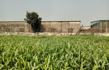 Plots for Sale in Hemayetpur, Savar, Dhaka