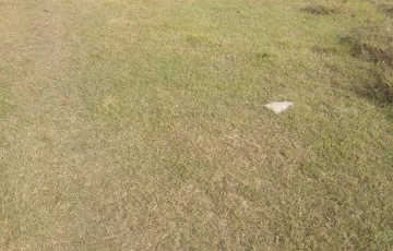 Plots for Sale in Sector 17, Uttara, Dhaka