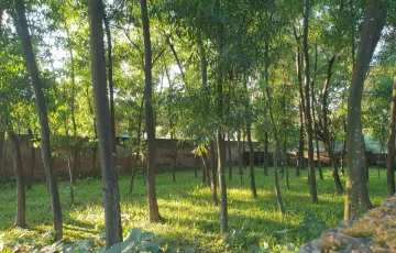 Plots for Sale in Bhawal Mirzapur, Gazipur Sadar Upazila, Gazipur