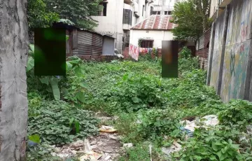 Plots for Sale in Bank Colony, Savar, Dhaka