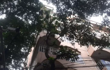 Buildings for Rent in Road No 23/A, Banani, Dhaka