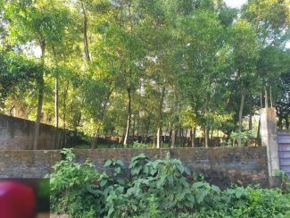 9000000 ৳ Residential