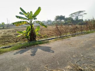 19000000 ৳ Residential