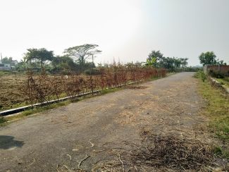  sqm Land Size Residential Properties for Sale