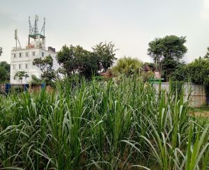 6000000 ৳ Residential