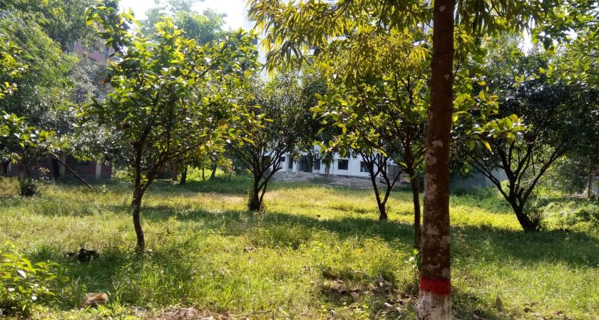  Bedrooms Residential Properties for Sale