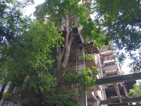 3 Bedrooms Residential Properties for Sale