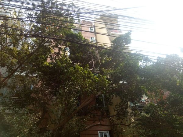 3 Bedrooms Residential Properties for Rent