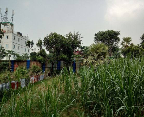  Bedrooms Residential Properties for Sale
