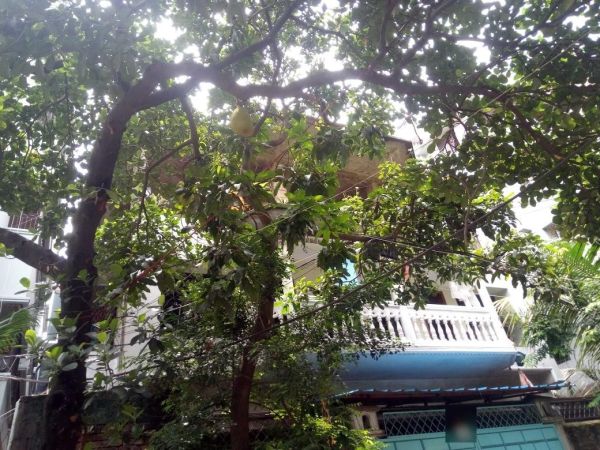  Bedrooms Residential Properties for Rent