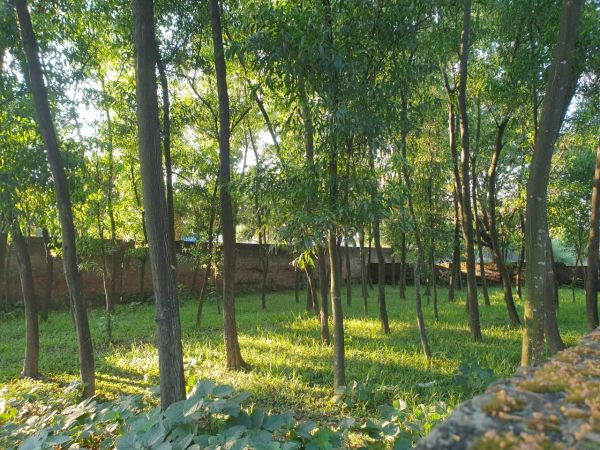  Bedrooms Residential Properties for Sale