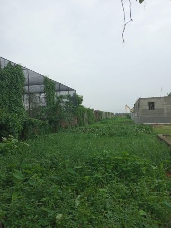  Bedrooms Residential Properties for Sale